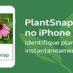 PlantSnap no iPhone: Reconheça Plantas com Alta Precisão